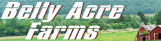 belly acre farms farm equipment antique tractors trucks for sale franklin conn