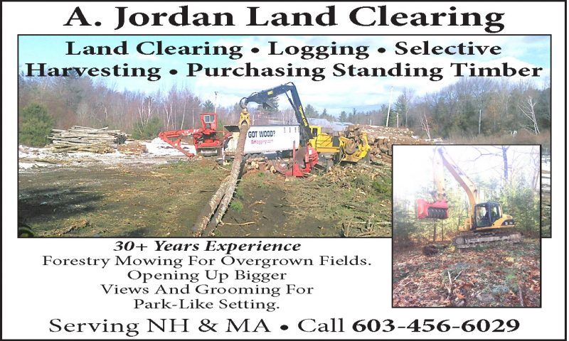 Land Clearing • Logging • Selective Harvesting • Purchasing Standing Timber