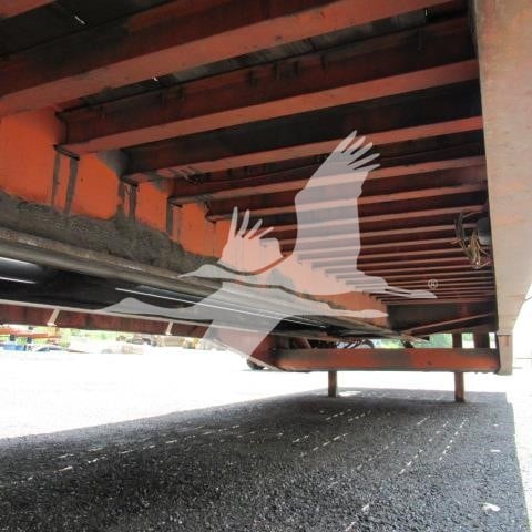 2009-TRAIL-KING-ID494-8 2009-TRAIL-KING-ID494-8