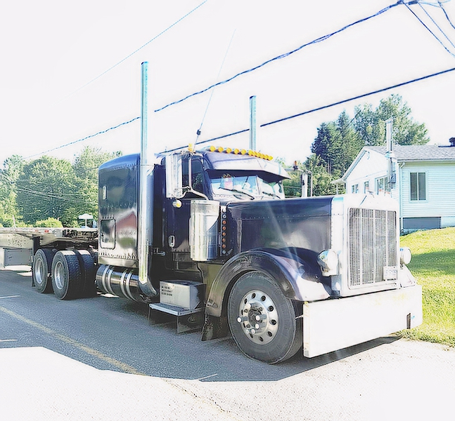 2007 PETERBILT 379