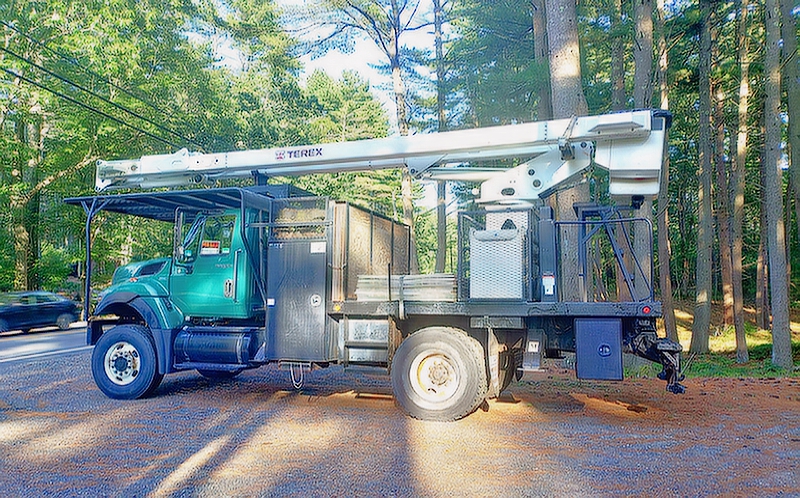 INTERNATIONAL BUCKET TRUCK