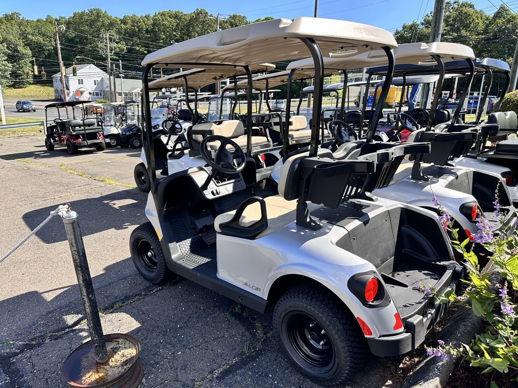 2025-E-Z-GO-Valor®-EX1-Gas-Platinum-P0291-1 2025-E-Z-GO-Valor®-EX1-Gas-Platinum-P0291-1