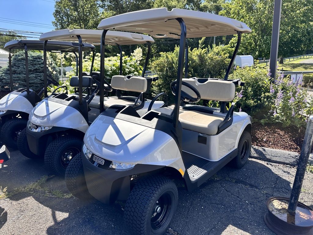 2025 E-Z-GO Valor® EX1 Gas Platinum P0291 2025 E-Z-GO Valor® EX1 Gas Platinum P0291