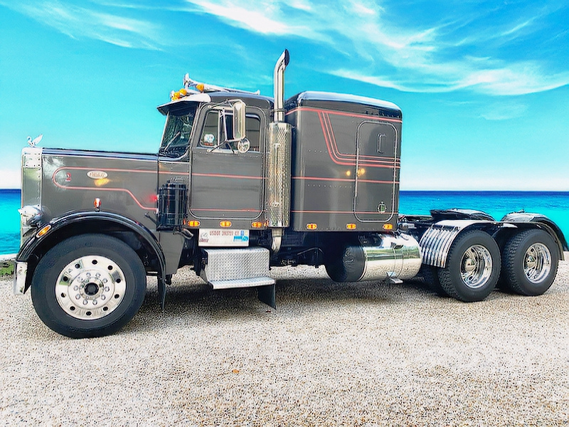 1981 PETERBILT 359