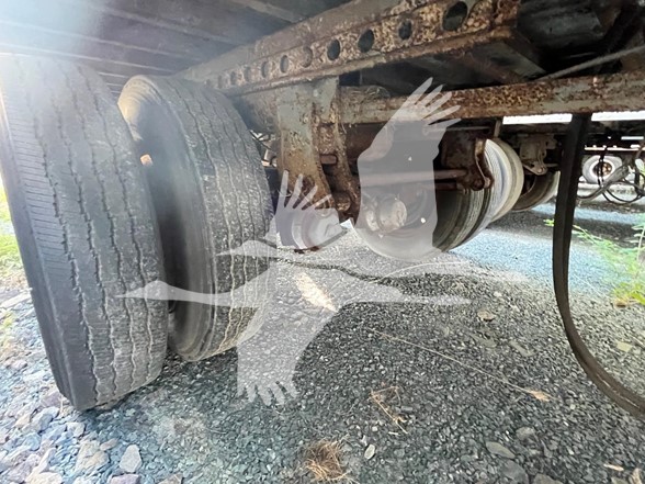 1990-THUERER-TE1394-STORAGE-5 1990-THUERER-TE1394-STORAGE-5