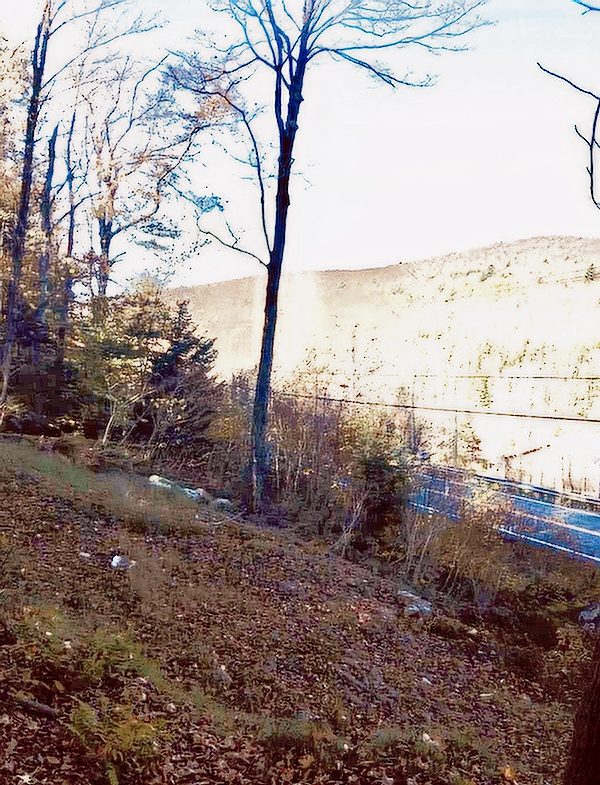 5 + ACRE BUILDING LOT 5 + ACRE BUILDING LOT